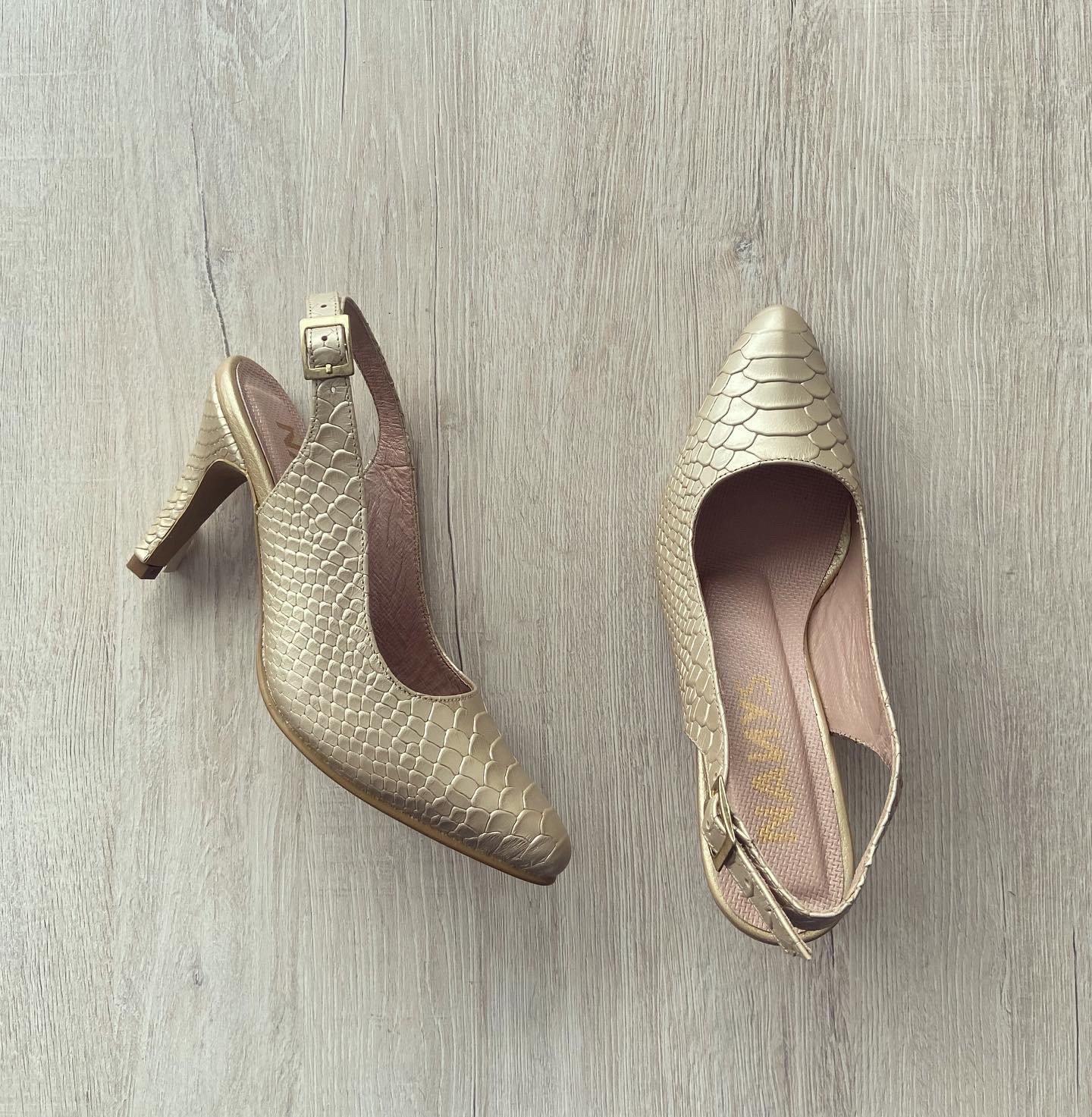 Zapato Dorado Clásico en cuero