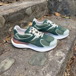 Tenis